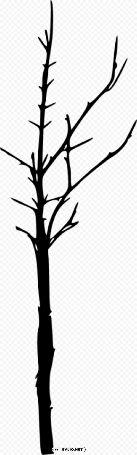 bare tree silhouette Isolated Design Element in Clear Transparent PNG
