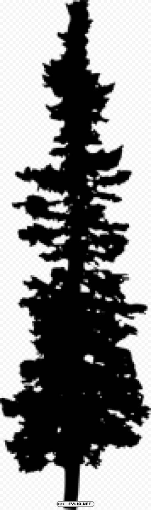 Pine Tree Silhouette PNG with no background diverse variety