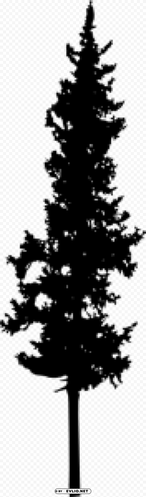 Pine Tree Silhouette PNG with alpha channel