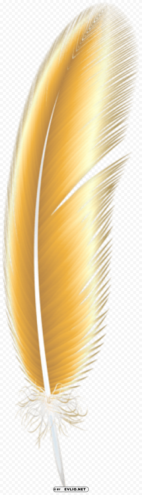 yellow feather PNG images with no attribution clipart png photo - 62c9c146