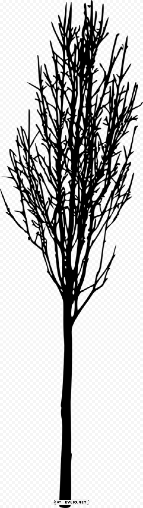 simple bare tree silhouette Isolated Artwork with Clear Background in PNG