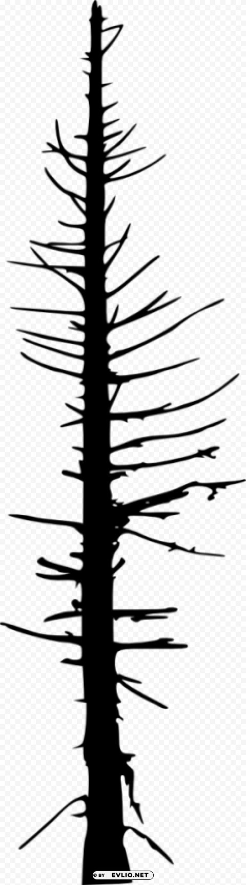 dead tree silhouette PNG images with alpha transparency bulk