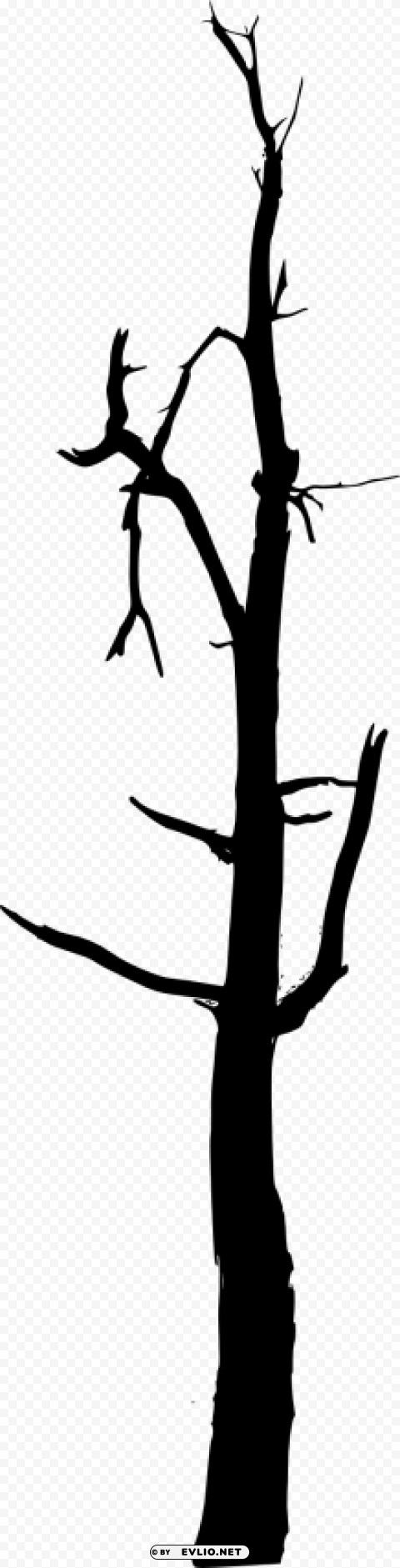 simple bare tree silhouette Isolated Artwork on HighQuality Transparent PNG