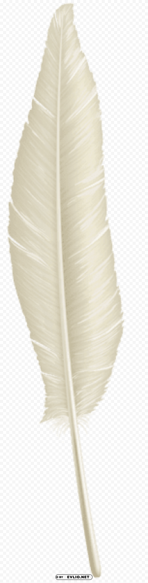 white feather transparent PNG images with alpha channel diverse selection