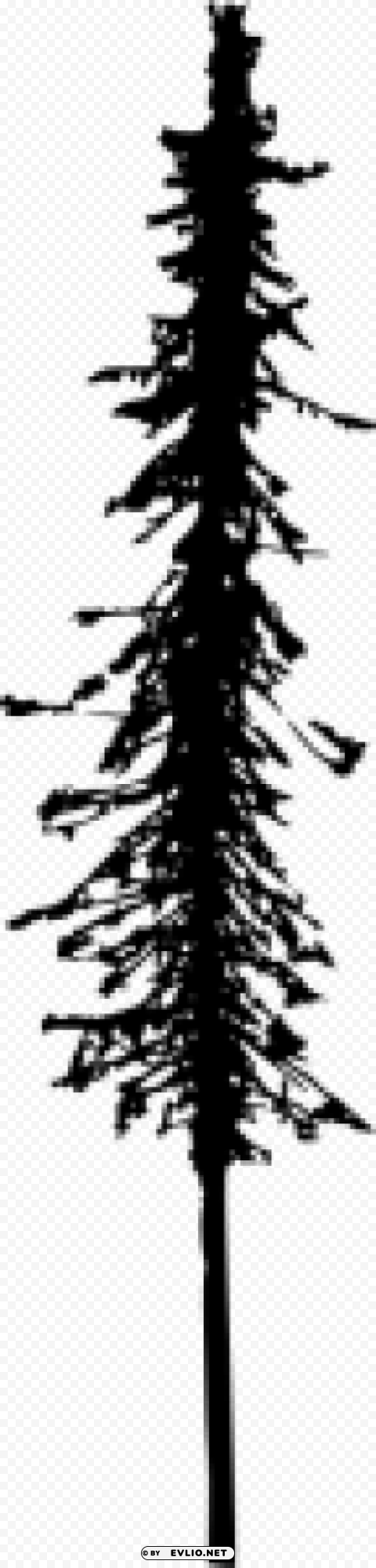 Pine Tree Silhouette PNG With Isolated Object