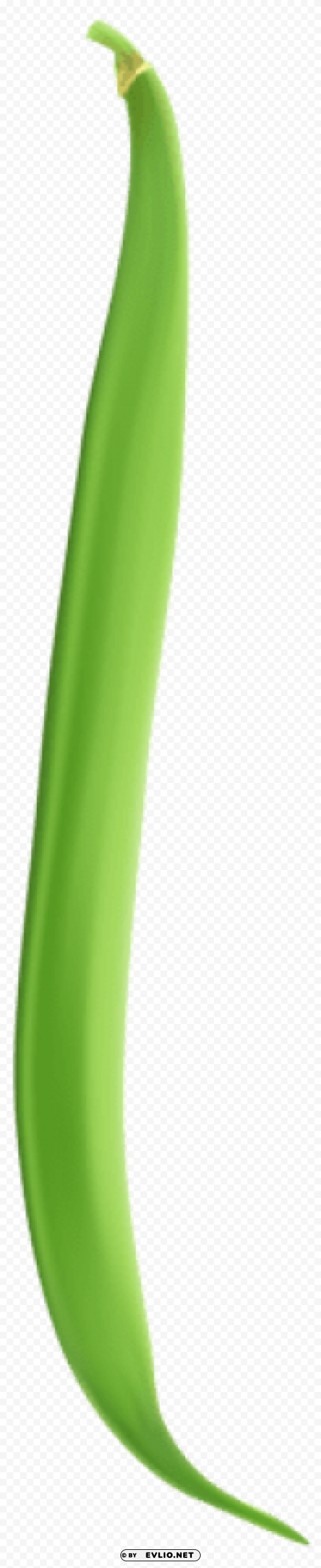 string bean HighQuality Transparent PNG Isolated Art