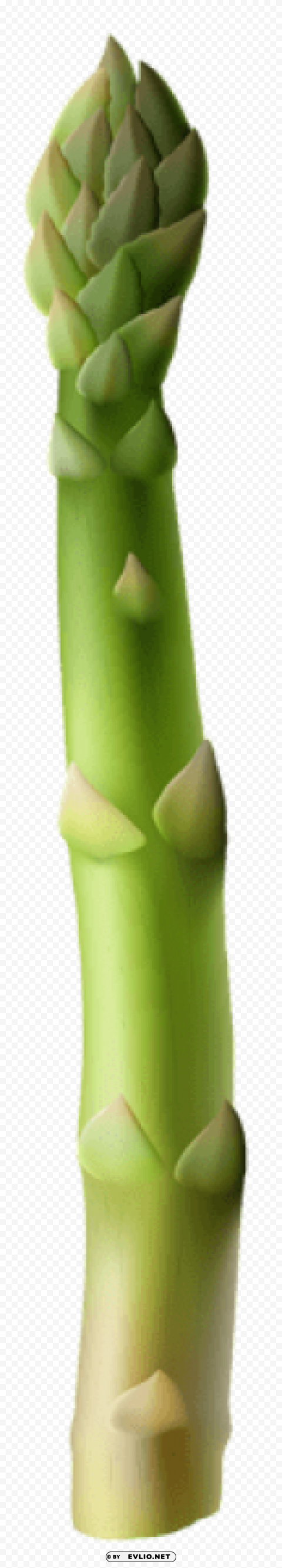 asparagus Free PNG images with alpha transparency
