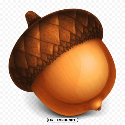 acorn Transparent PNG Artwork with Isolated Subject