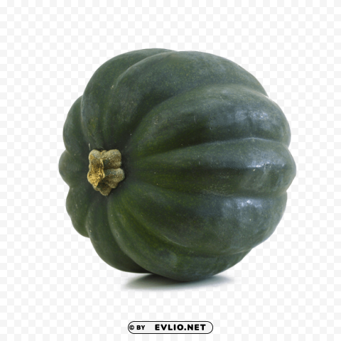 Transparent acorn squash HighResolution PNG Isolated Artwork PNG background - Image ID c2880716