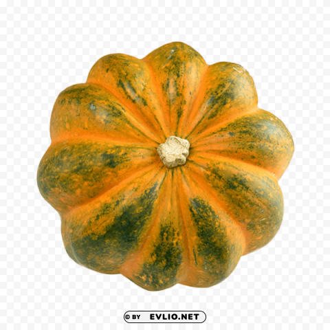 Transparent acorn squash image HighResolution Isolated PNG with Transparency PNG background - Image ID 403e8850