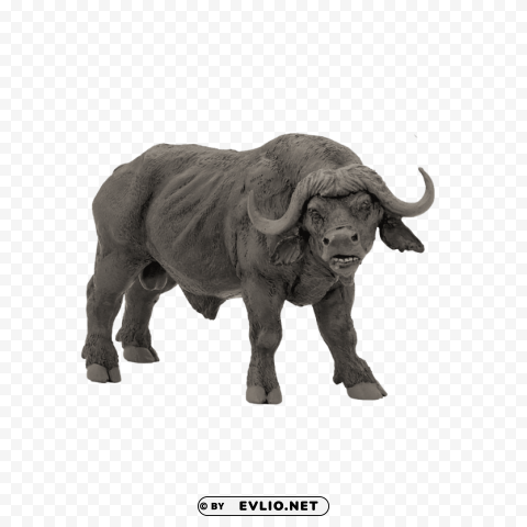 african buffalo Free PNG images with alpha channel compilation