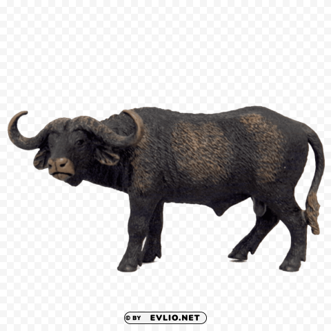 african buffalo s Free PNG images with alpha channel