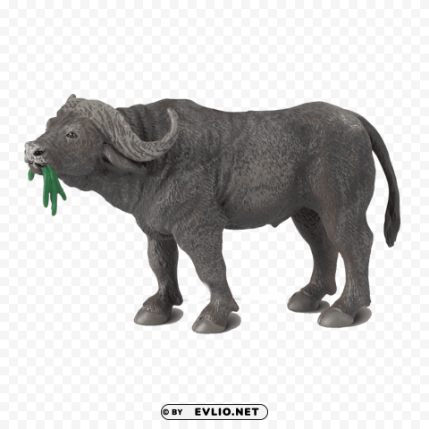 african buffalo s Free download PNG with alpha channel