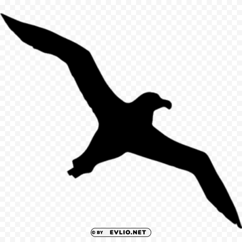albatross silhouette PNG Image with Transparent Isolated Design