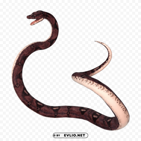 anaconda PNG pictures with no background