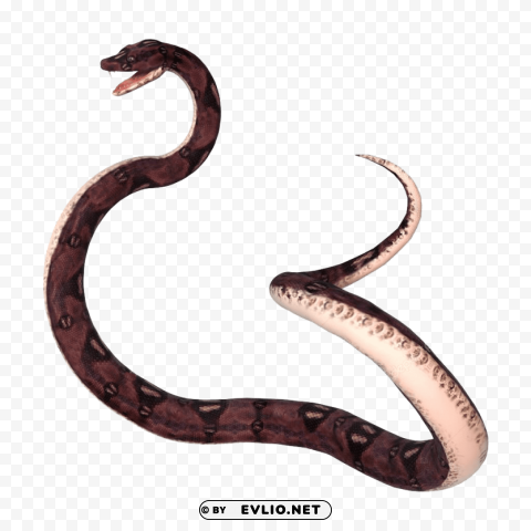 Anaconda PNG Pictures With No Background