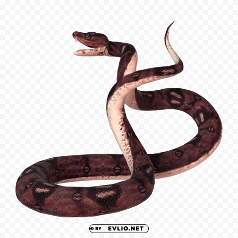 anaconda no PNG transparent designs for projects png images background - Image ID bcc691c3
