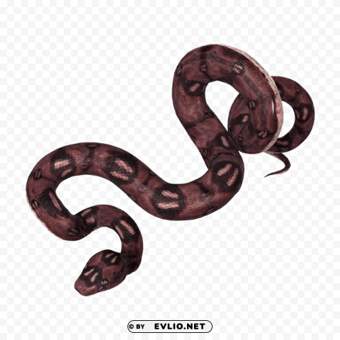 anaconda PNG picture png images background - Image ID 9266e5db