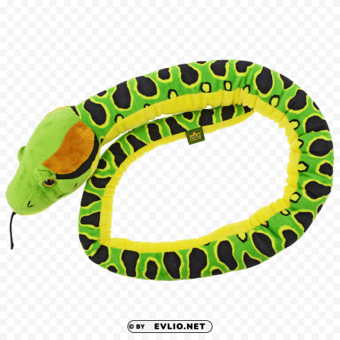 anaconda PNG transparent designs