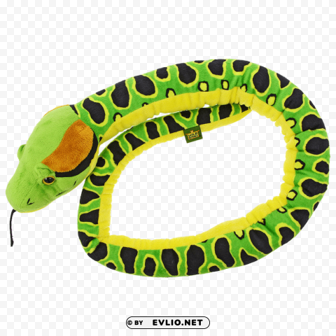 Anaconda PNG Transparent Designs