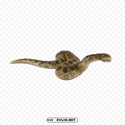 anaconda s PNG pics with alpha channel