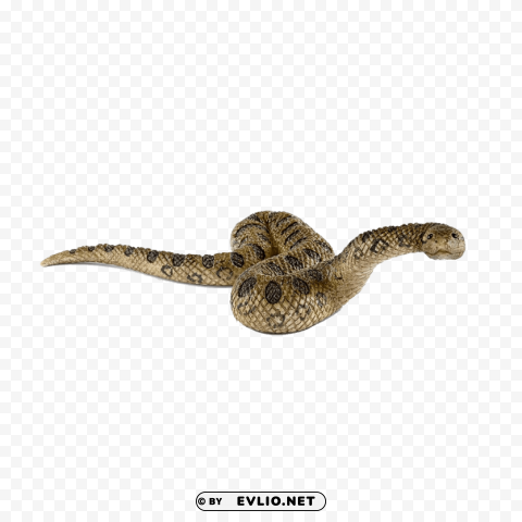 Anaconda S PNG Pics With Alpha Channel