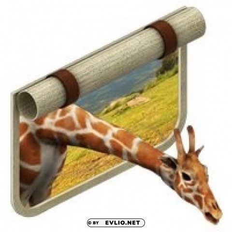 animal reserve giraffe window PNG graphics for free