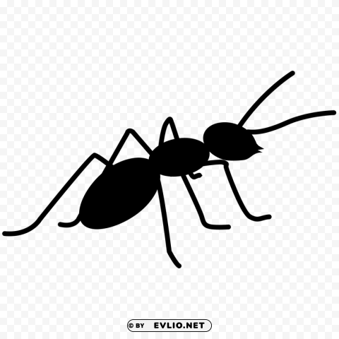 ants Isolated PNG on Transparent Background
