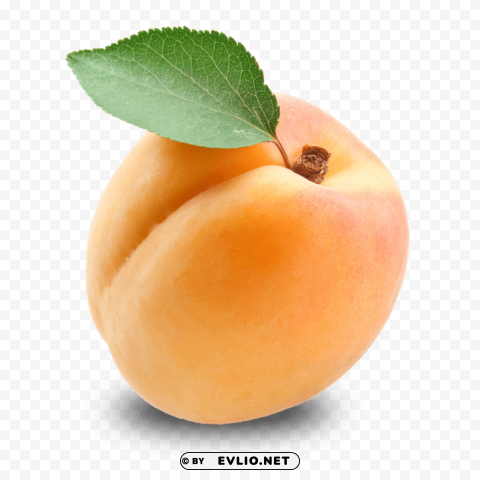 apricot Clear background PNGs PNG images with transparent backgrounds - Image ID 74609f21