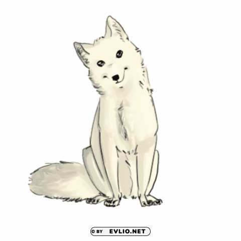 arctic fox biology_ PNG pics with alpha channel
