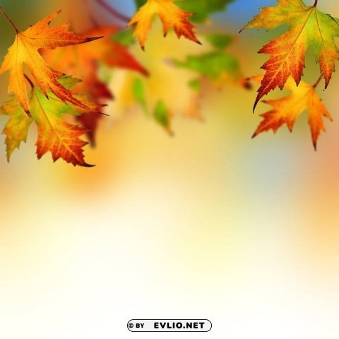 artwith autumn leaves PNG files with alpha channel assortment