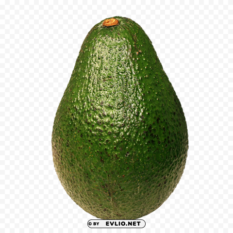 avocado PNG Graphic Isolated with Clear Background