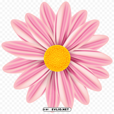 PNG image of beautiful daisy PNG Image with Isolated Artwork with a clear background - Image ID e74a15d7