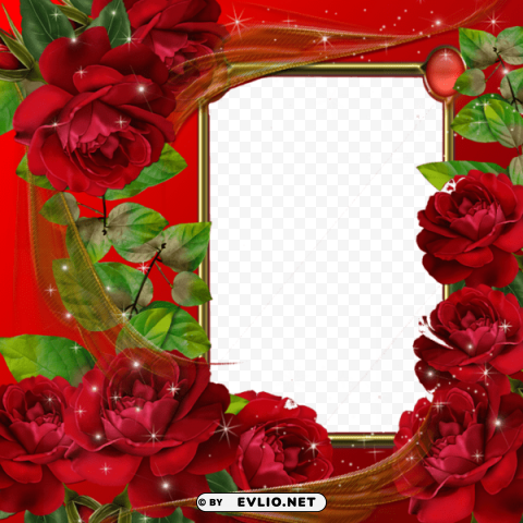 beautiful red roses transparent photo frame Clear PNG pictures free