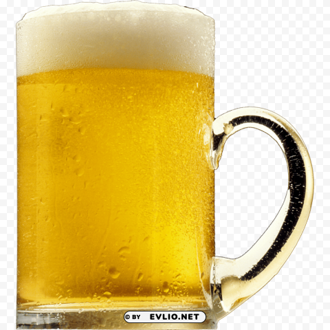 Beer In Mug PNG Files With No Backdrop Wide Compilation