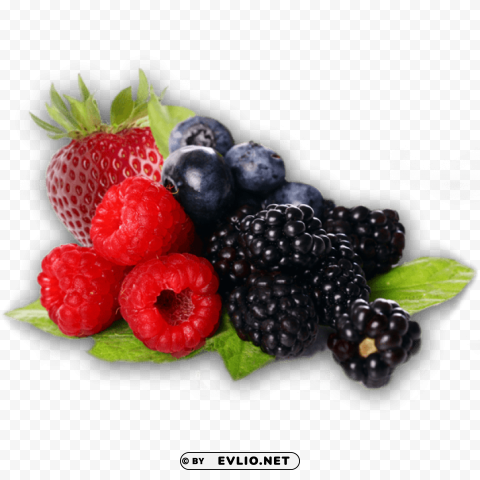 berries Isolated Character on Transparent PNG png - Free PNG Images ID 670e7d06