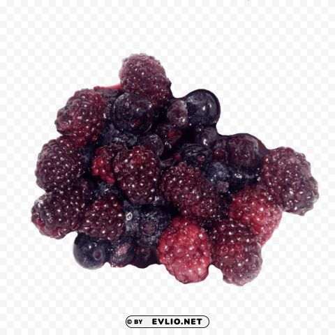 berries Isolated Design Element in Transparent PNG