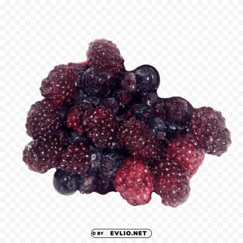 Berries Isolated Design Element In Transparent PNG