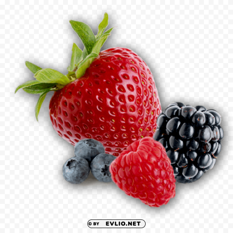 berries Isolated Design Element on PNG