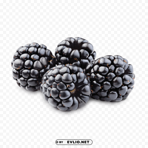 blackberry Transparent PNG pictures archive PNG images with transparent backgrounds - Image ID b692ec40