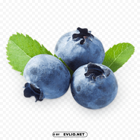 blueberries Clear Background PNG Isolated Design Element