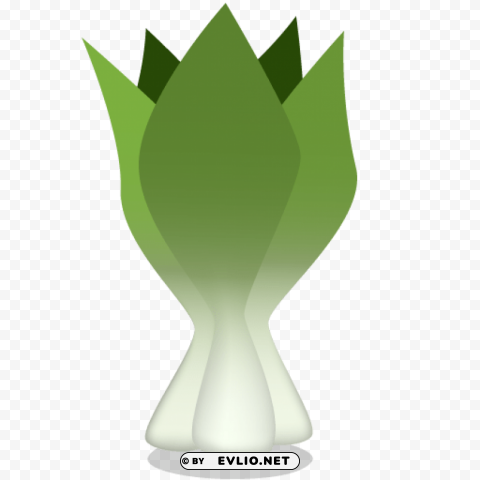 bok choy Isolated Subject on HighResolution Transparent PNG