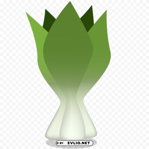 Bok Choy Isolated Subject On HighResolution Transparent PNG