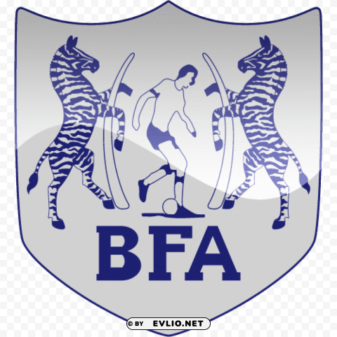 botswana football logo Isolated Icon with Clear Background PNG