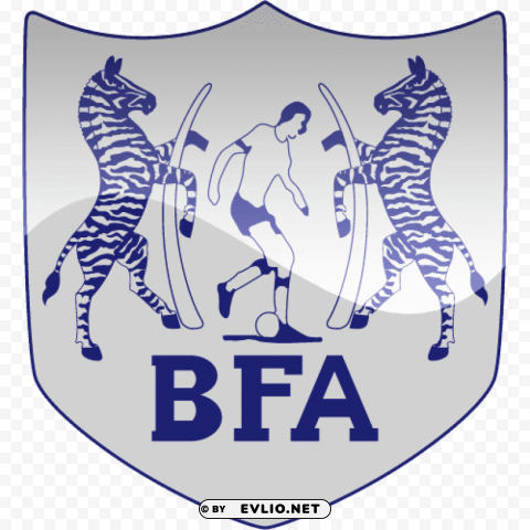 Botswana Football Logo Isolated Icon With Clear Background PNG