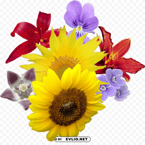 bouquet of flowers PNG transparent photos massive collection