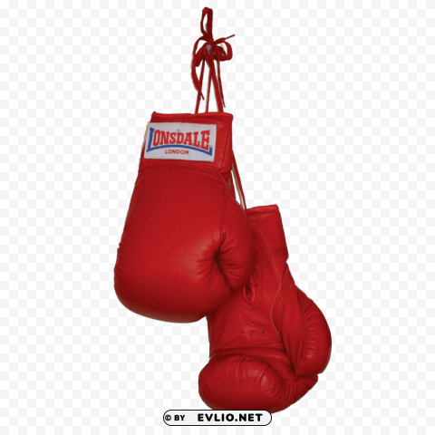 boxing gloves duo Free transparent background PNG