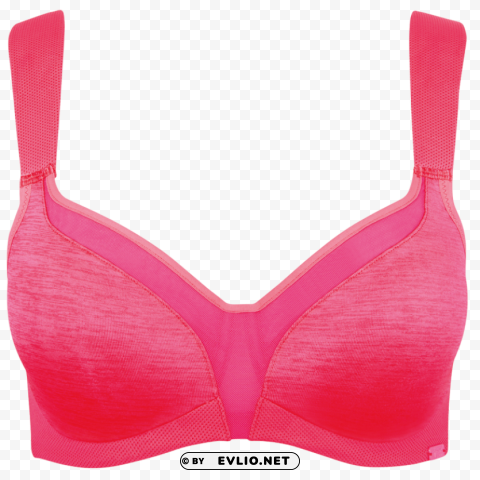 bra hd photo Isolated Graphic on Clear Transparent PNG png - Free PNG Images ID fc00d74a