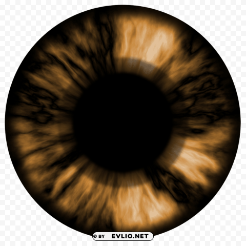 brown eyes Transparent PNG images pack