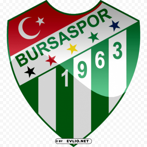 bursaspor logo Isolated Artwork in HighResolution Transparent PNG